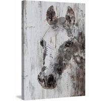 Мармонт Хил Jackек коњ од Ирена Орлов Сликарство на печатење на завиткано платно