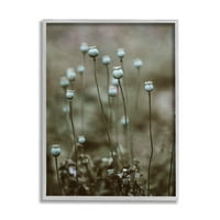 Sumn Industries Serene White Floral Burk Woodland Photography Grey Dramed Art Print Wall Art, 24x30